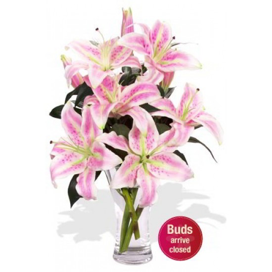 4 Oriental Pink Lily Vase Bouquet
